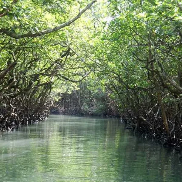 Places To Visit In Andaman and Nicobar Islands
Baratang Island
Baratang Island, Andaman Overview
...