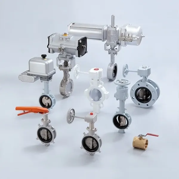 KITZ BUTTERFLY VALVE SUPPLIER IN VADODARA