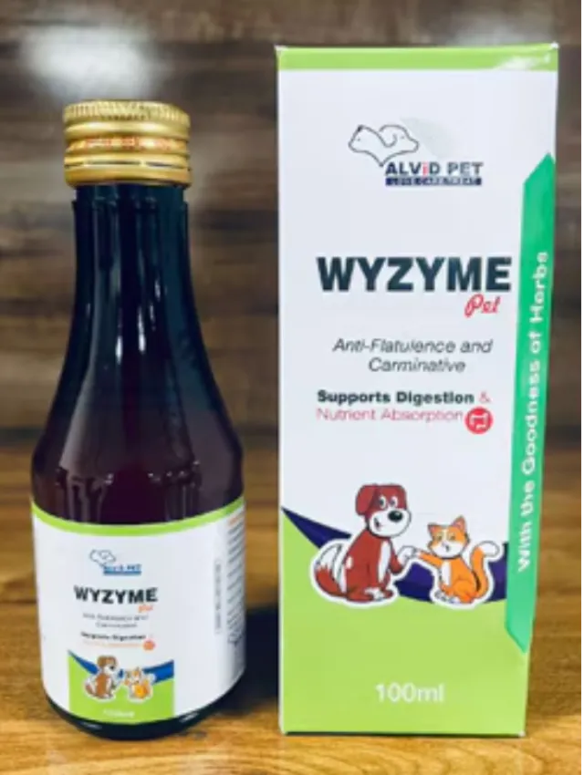 How to Compare Pet Syrups Before Adding One to Your Pet Care Routine