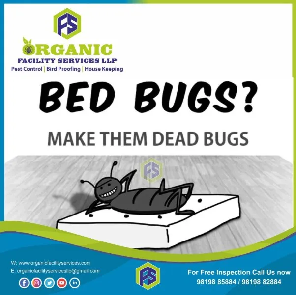 Organic Bed Bug Pest Control Service in Ram Mandir Compared with Alternatives