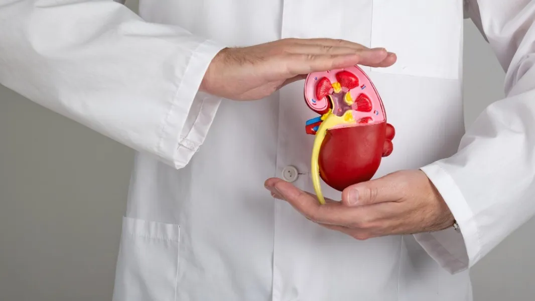 When to Consult a Uro Onco Surgeon for Urinary System Cancers