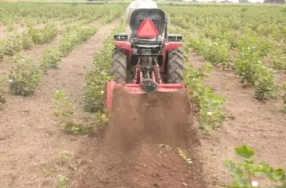Mini Tractor Buying Guide for Small Farms Plus Orchard Operations