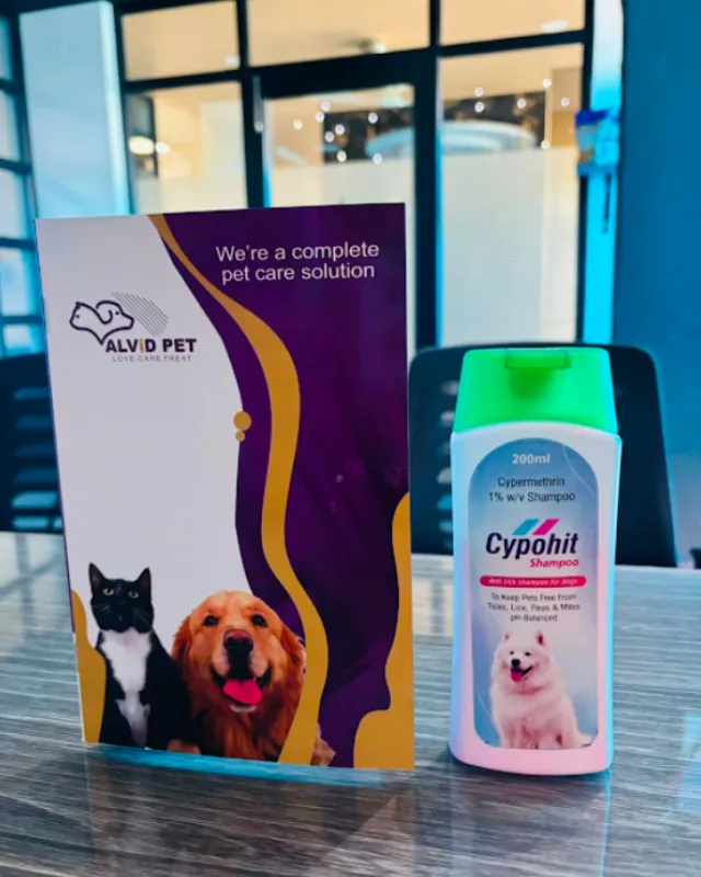 Common Mistakes to Avoid When Choosing a Pet Supplement