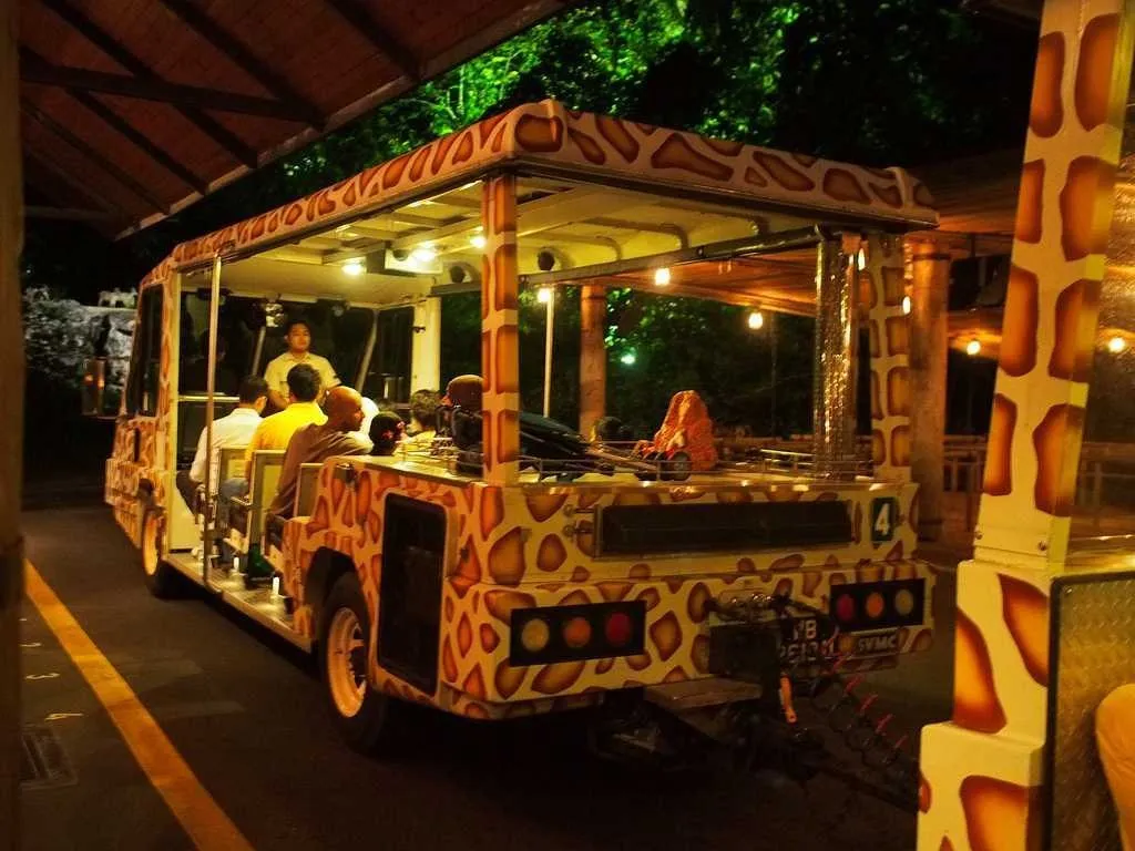 Things To Do In Singapore
Singapore Night Safari
Singapore Night Safari, Singapore Overview
Night...