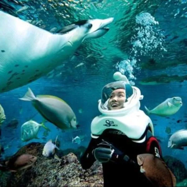 Things To Do In Singapore
Singapore Oceanarium
SEA Aquarium, Singapore Overview
Singapore Oceanar...