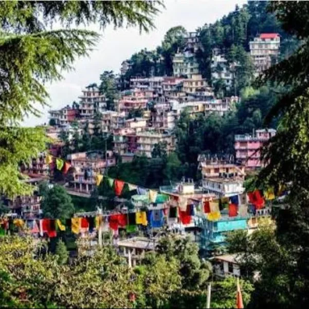 Places To Visit In Dharamshala
Mcleodganj
Mcleodganj Tourism
Mcleodganj, Himachal Pradesh is one...