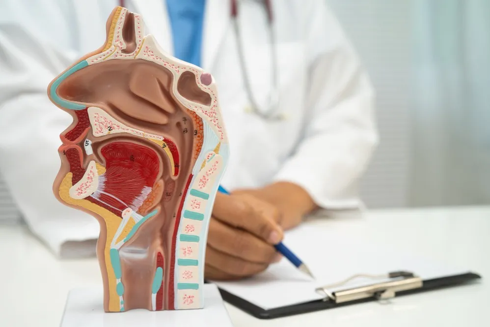 How to Choose the Right Hospital for Ear, Nose, and Throat (ENT) Treatments