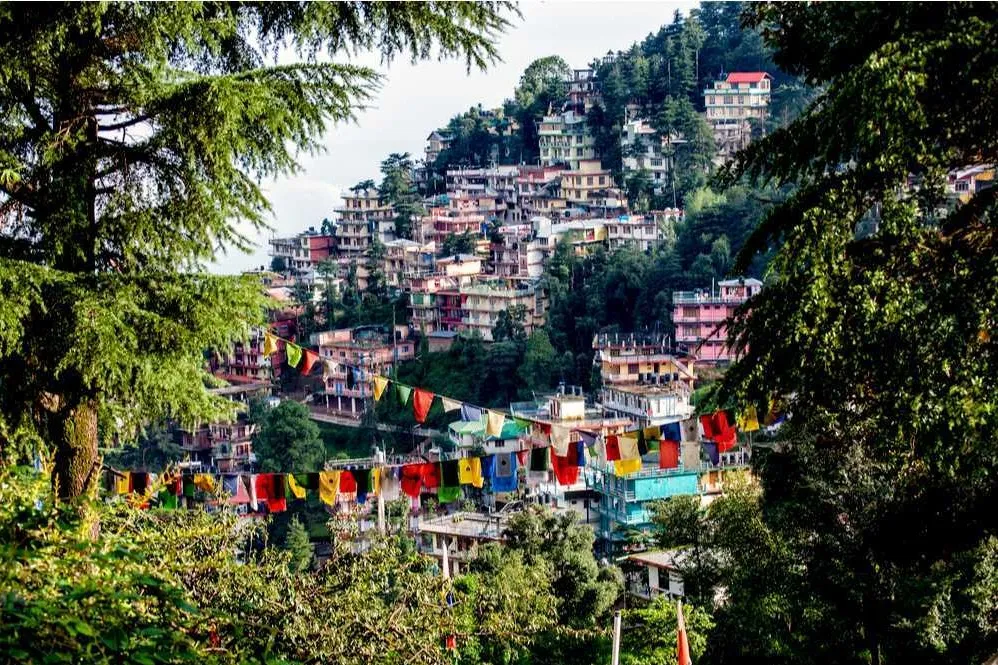 Tourist Places in Himachal Pradesh
Mcleodganj
Mcleodganj Tourism
Mcleodganj, Himachal Pradesh is...