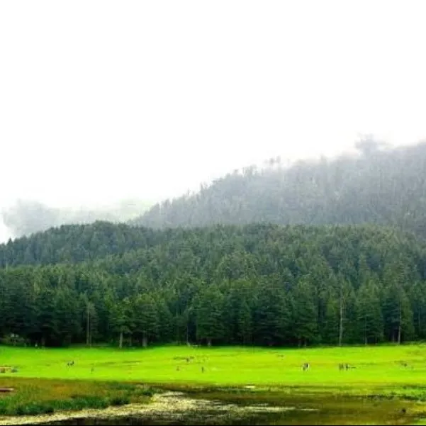 Tourist Places in Himachal Pradesh
Khajjiar
Khajjiar Tourism
Often referred to as 'mini-Switzerla...