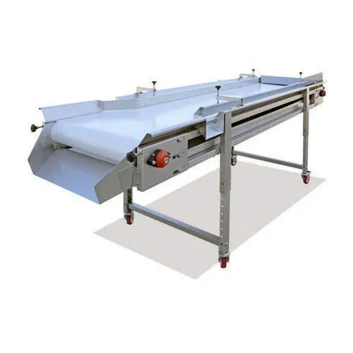 Sorting Conveyor Manufacturer in Indore, Madhya Pradesh