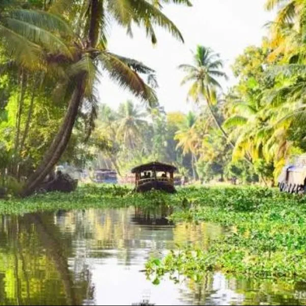 Tourist Places in Kerala
Alleppey
Alleppey Tourism
Officially called Alappuzha, Alleppey is know...