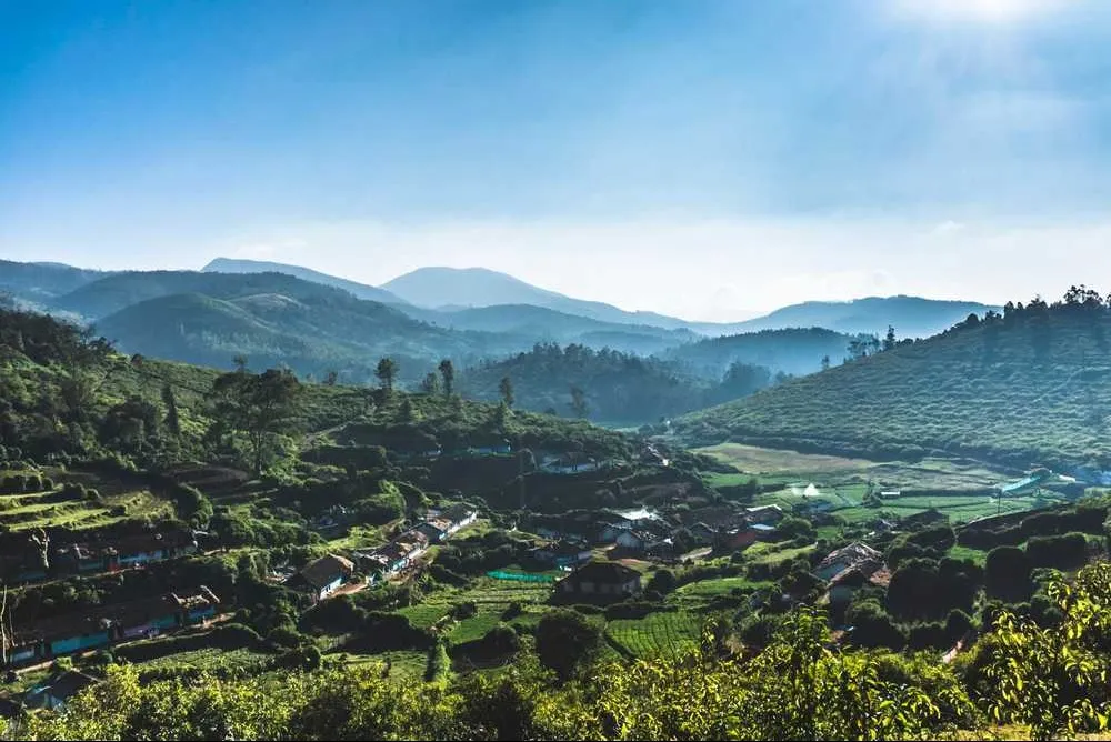 Tourist places in Tamil Nadu
Ooty
Ooty Tourism
Nestled amidst Nilgiri hills, Ooty, also known as ...