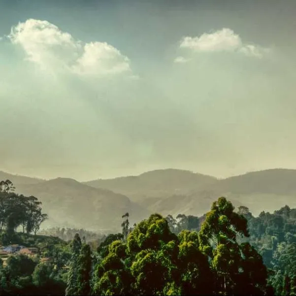 Tourist places in Tamil Nadu
Coonoor
Coonoor Tourism
One of the three beautiful Nilgiri hill sta...