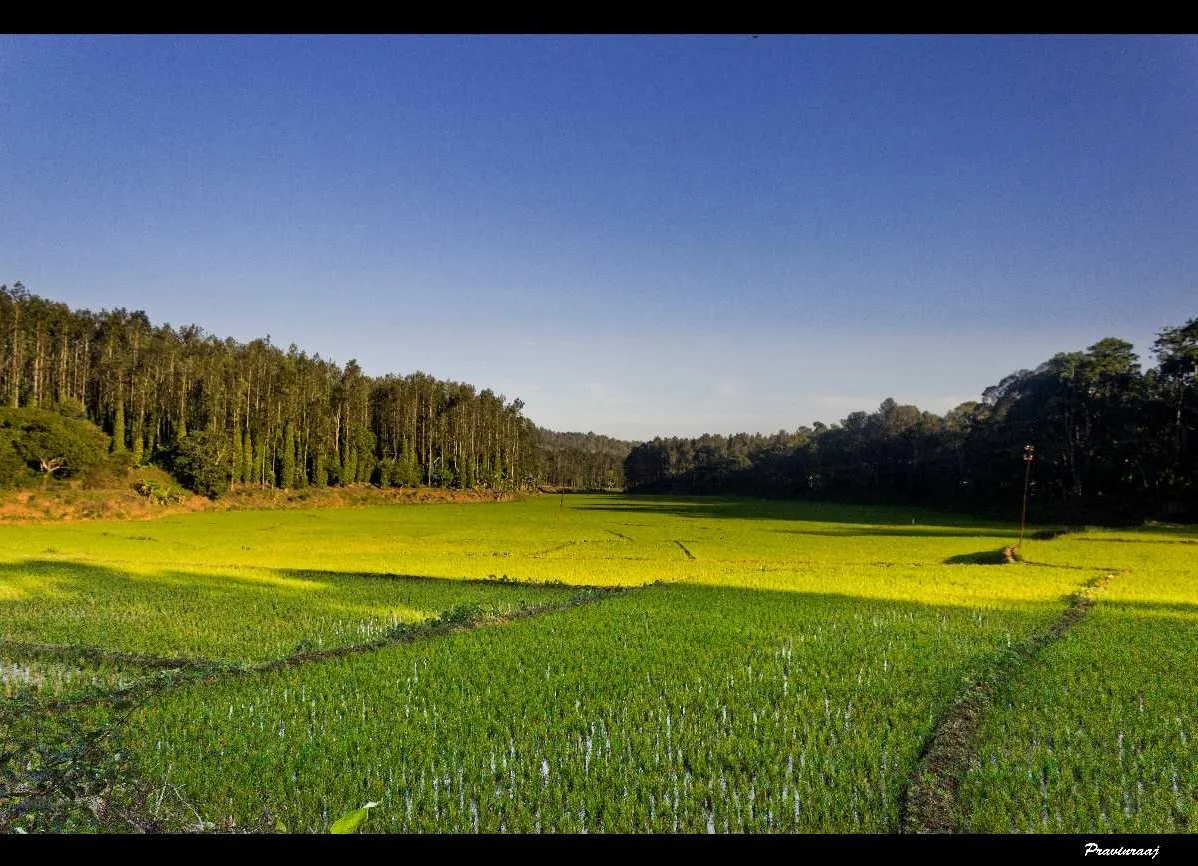 Tourist places in Tamil Nadu
Kolli Hills
Kolli Hills Tourism
With an ominous name which means ‘Mo...