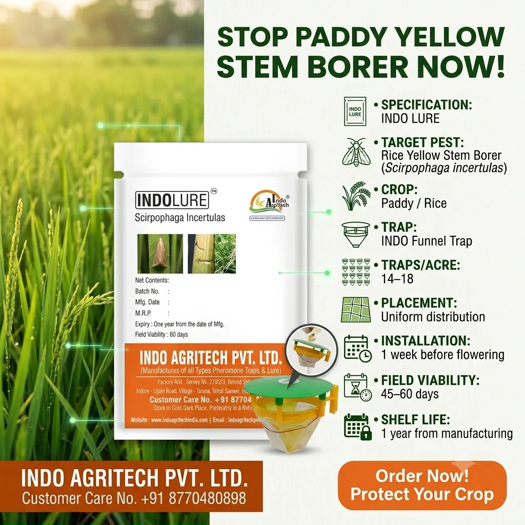 INDO LURE – Scirpophaga incertulas Rice Yellow Stem Borer Pheromone Lure