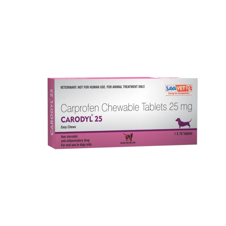Carodyl Tablet Dropshipper and Exporter in singapore,usa,uk,uae,canada by Ernest Pharmaceutical image 1