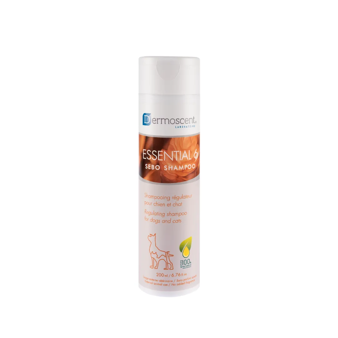 Essential 6 Sebo Shampoo Dropshipper and Exporter in singapore,usa,uk,uae,canada by Ernest Pharmaceutical image 1