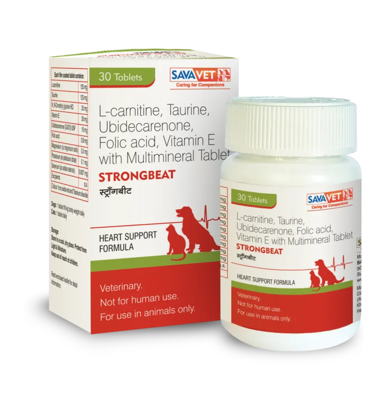 Strongbeat Tablet Dropshipper and Exporter in singapore,usa,uk,uae,canada by Ernest Pharmaceutical image 1