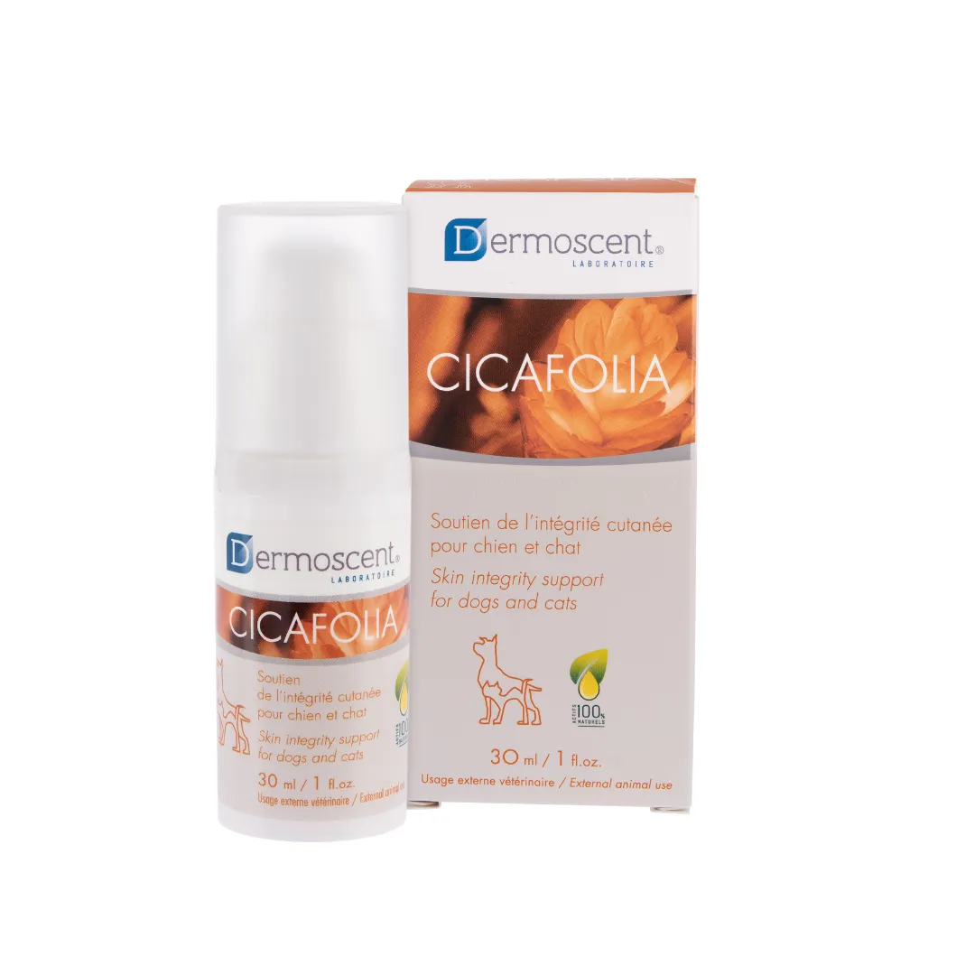 Cicafolia Dropshipper and Exporter in singapore,usa,uk,uae,canada by Ernest Pharmaceutical image 1