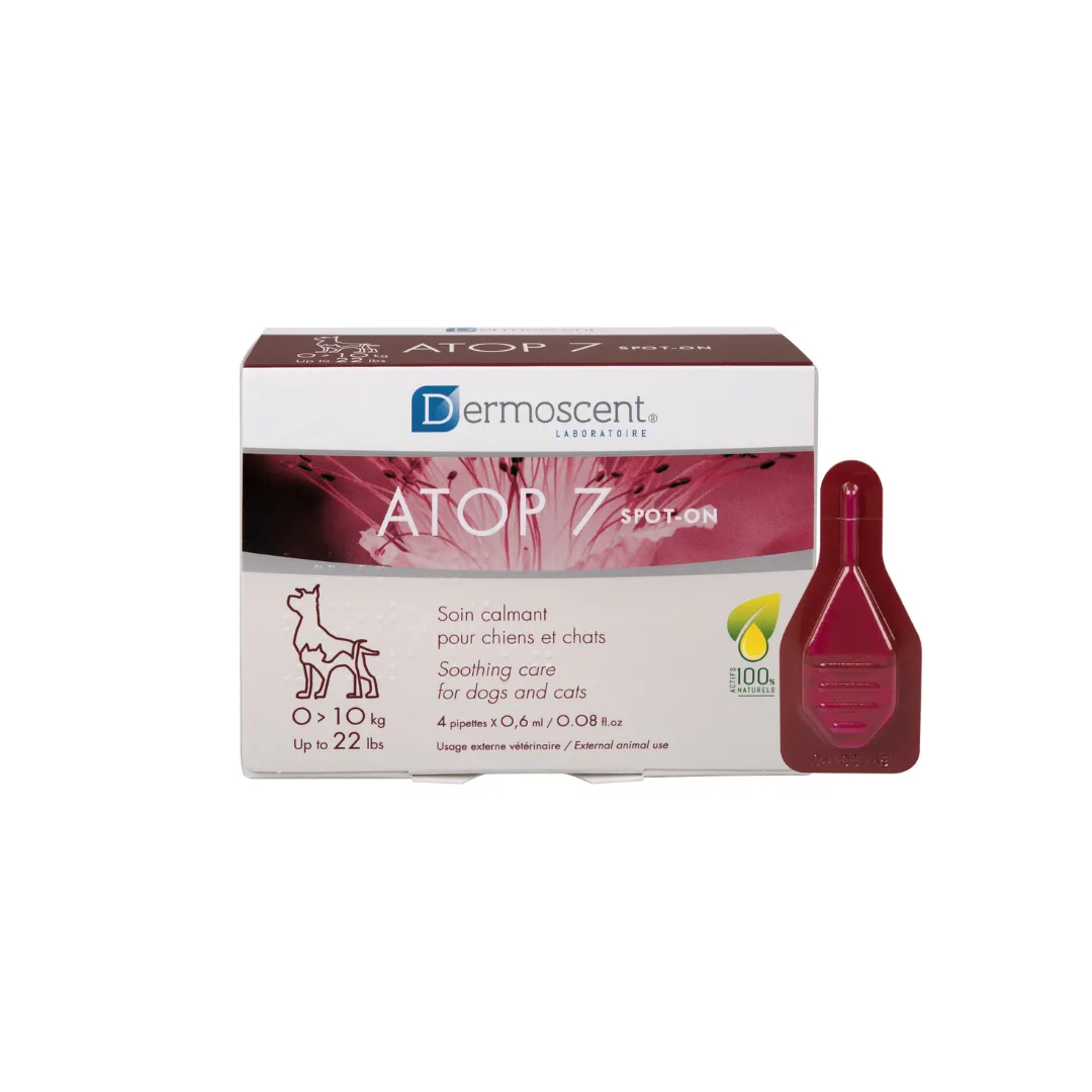 Atop 7 Spot-on Dropshipper and Exporter in singapore,usa,uk,uae,canada by Ernest Pharmaceutical image 1