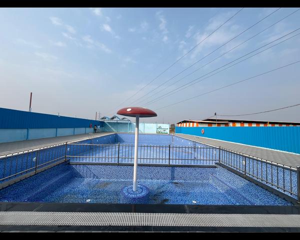 professional pool consultant i