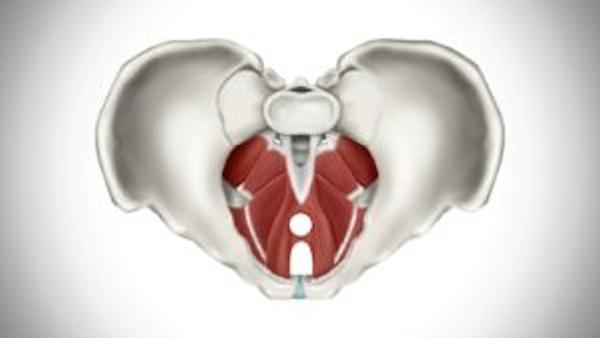 physionautics posture feedback