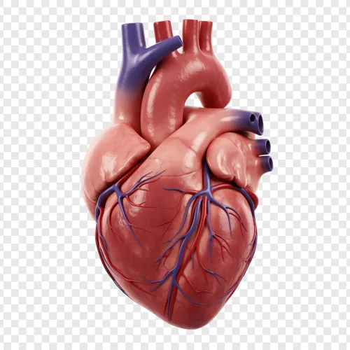 update image