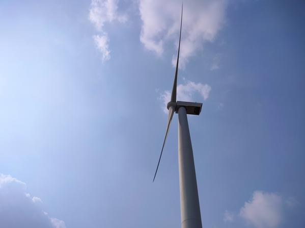 fall protection training insti