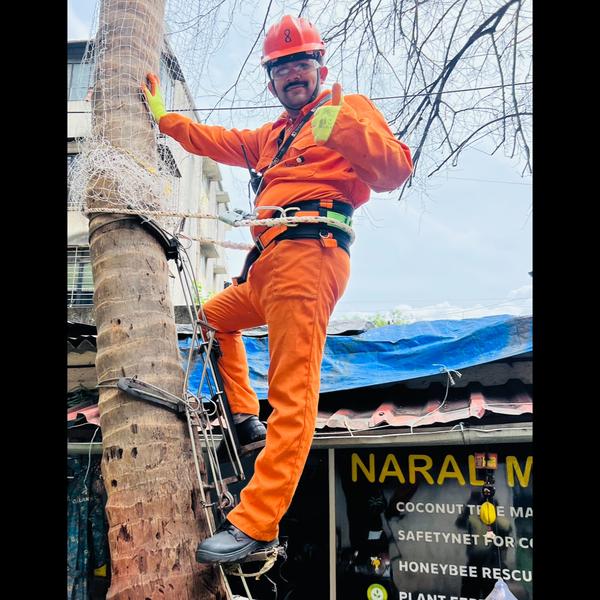 long lasting coconut fall prot