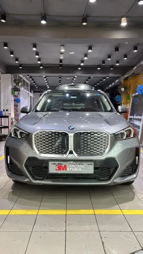 professional paint protection
