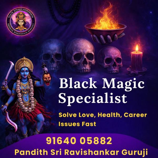 experienced famous astrologer 