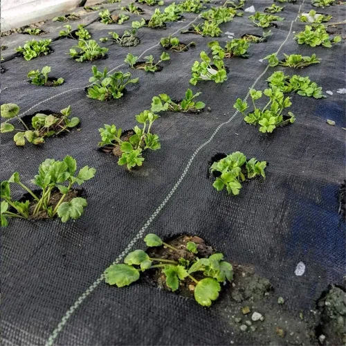 update image