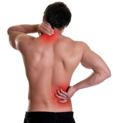 Most of the people suffers from back pain.90 % of American suffering from back pain.it is second most disease after common cold.
Back pain is not disease, it is symptom may occur from different process.
CAUSES FOR BACK PAIN :
1 common cause for back pain is injury to the muscles , bones nerves of the spine
2 degeneration of the vertebral bones , discs known as lumbar spondylosis.spondylosis occurs due to loosing moisture in central portion of the disc known as nucleus pulposum.
3 disc herniation:nerve root syndromes are those that produce nerve compression due to herniation /bulging of the disc developed due to degeneration, or over strain or due to injury.disc prolapsed pushes against the nerve root .
4 infections of the spine ex osteomylitis, tb spine
5 cauda equine syndrome:it is a medical emergency where the spinal cord is directly compressed.this causes possible loss of sensation , paralysis , bladder disfunction
6 congenital anomalies ex scoliosis, defect in spine curvature, spina bifida
7 ANKYLOSING SPONDYLITIS.
8 tumours of the spine