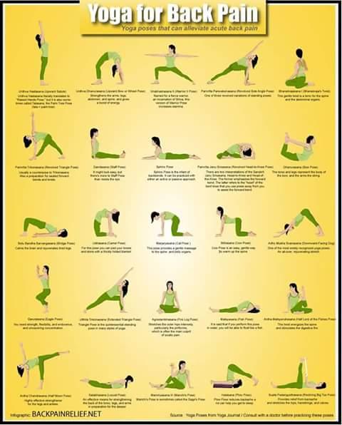 Next in the series of Aasans is Bhujangasan (Cobra pose). While performing this Aasans pressure should be on our back, not on the arms and shoulders. By performing this aasan our adrenal gets strength and become very effective. This gland produces Epinephrine, Norepinephrine and three other Corticosteroid Hormones. Epinephrine is an important hormone secreted by medula of the adrenal gland for preparing the body for