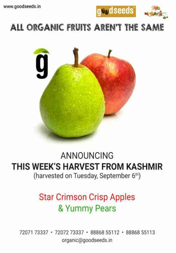 call us for some amazing organic apples and organic pears from kashmir.
