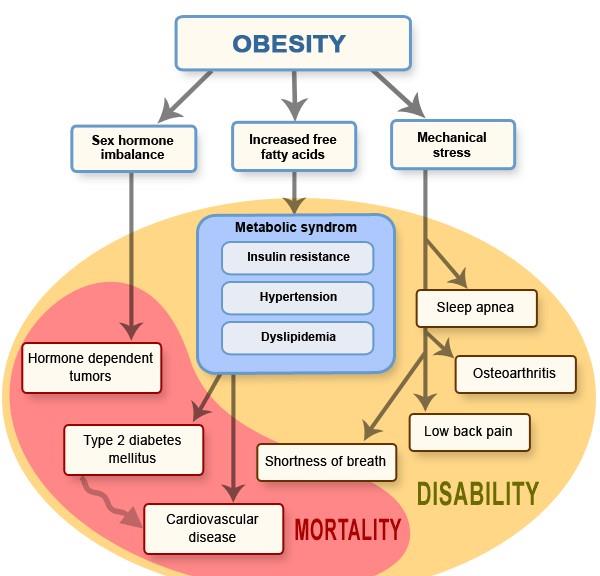 What have we achieved out of the modern world............my answer is everything except good health......obesity and diabetes have become the global pandemic.
Can you eat healthy? Can you eat the right kind of foods? Can you eat and enjoy the foods that will sustain a healthy life? Can you eat to improve your chances for a long and healthy life? Of course you can. You can do all of these things.
Eat a variety of foods.
Maintain desirable weight.
Avoid too much fat, saturated fat, and cholesterol.
Eat foods with adequate starch and fiber.
Avoid too much sugar.
Avoid too much sodium.
If you drink alcoholic beverages, do so in moderation.