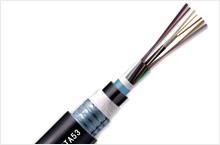 Optical Fibre Cables Dealers in Chennai
Offered at most affordable prices, these cables are highly durable and thus posses excellent properties and features to cater the specific demands of clients. These cables are designed for duct application and offer termite & insect resistance properties. In addition to it, these cables can also be customized as per the specification of clients.