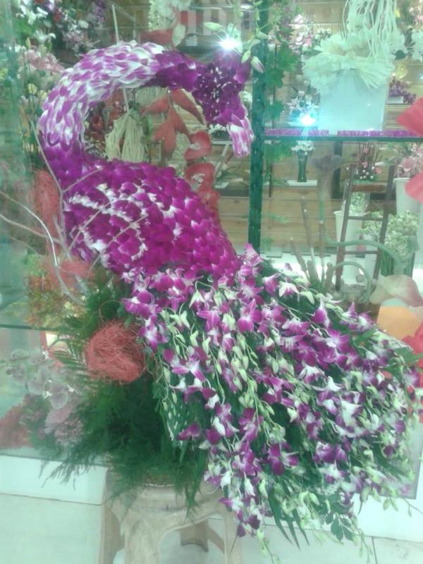 kailash florist indore