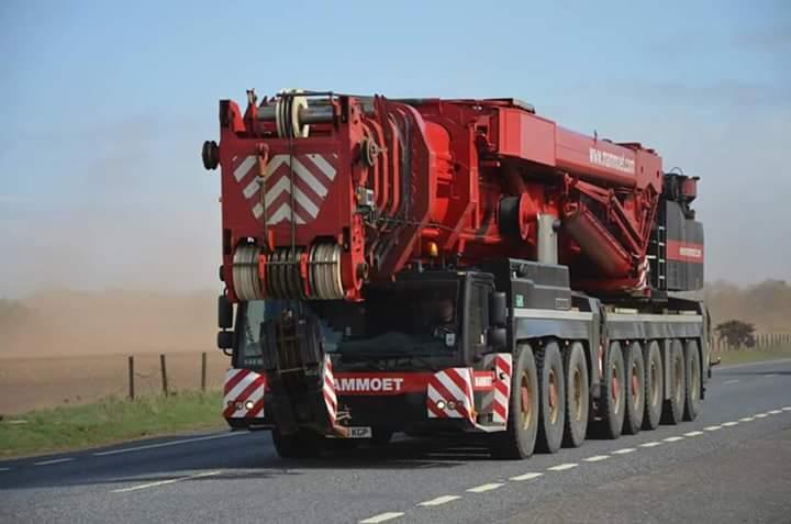 professional crane rental bang