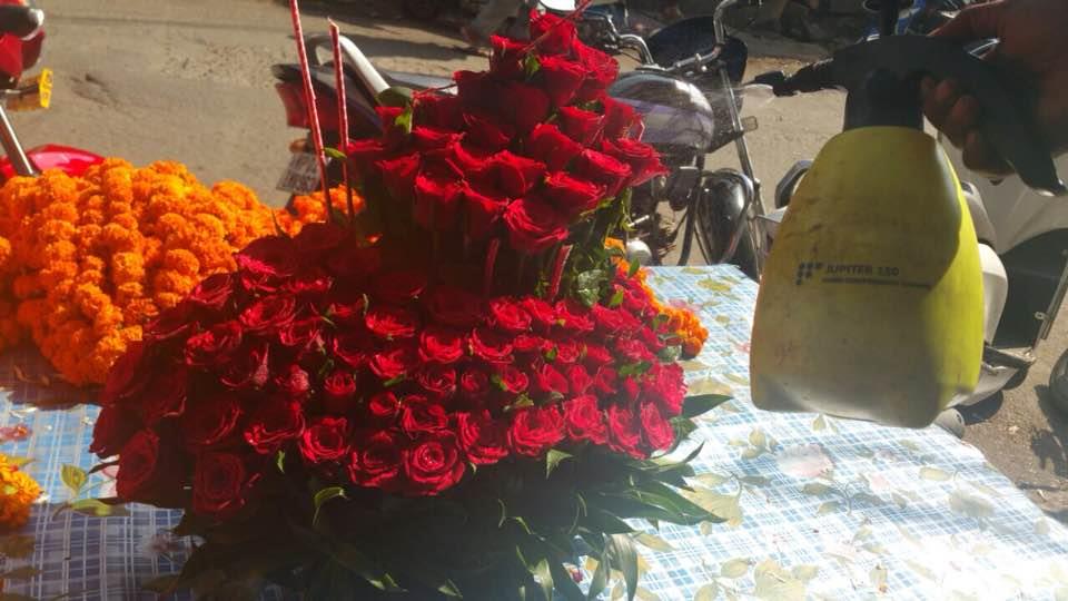 bhawar kuwa