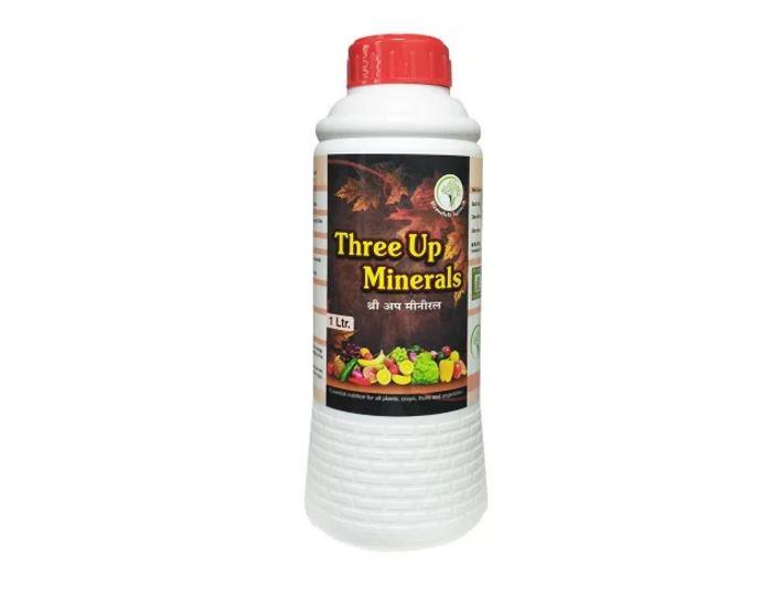 Three-Up MineralsC