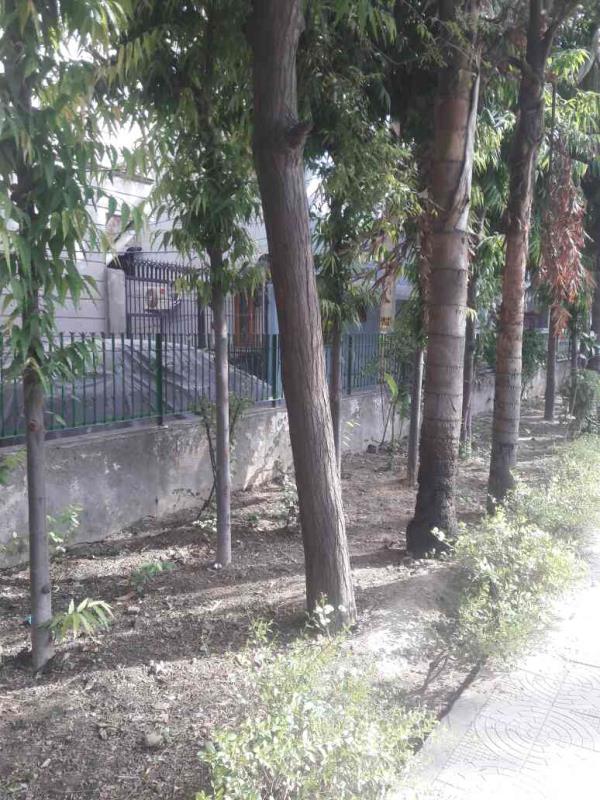 home delivery service