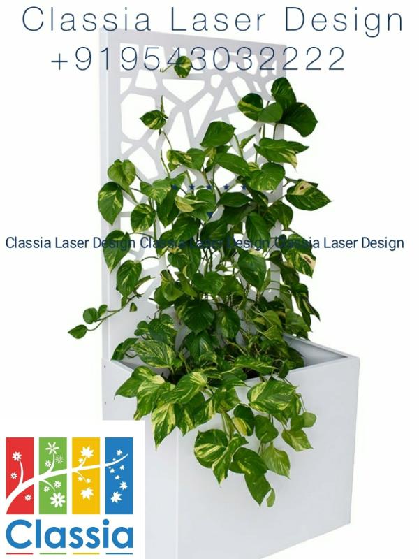 plant boxes concepts classia laser design in coimbatore india