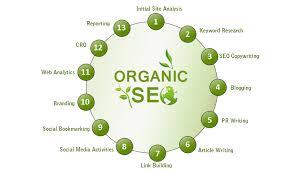 The best SEO Company in Raja Ji Nagar. Clients need Organic result and TechSpark helps them to get desired result in desired time. Call now for Organic SEO Services.