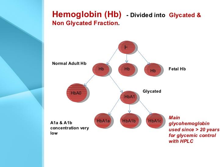 HbA1c Test for Diabetes
The haemoglobin A1c test gives an indication of how well your diabetes is controlled
The haemoglobin A1c test gives an indication of how well your diabetes is controlled
The HbA1c test, also known as the haemoglobin A1c or glycated haemoglobin test, is an important blood test that gives a good indication of how well your diabetes is being controlled.
Together with the fasting plasma glucose test, the HbA1c test is one of the main ways in which type 2 diabetes is diagnosed.
HbA1c tests are not the primary diagnostic test for type 1 diabetes but may sometimes be used together with other tests.
For HbA1c guidelines for monitoring diabetes control, see our HbA1c targets page.
HbA1c testing in diagnosing diabetes
The World Health Organisation (WHO) suggests the following diagnostic guidelines for diabetes:
HbA1c below 42 mmol/mol (6.0%): Non-diabetic
HbA1c between 42 and 47 mmol/mol (6.0–6.4%): Impaired glucose regulation (IGR) or Prediabetes
HbA1c of 48 mmol/mol (6.5%) or over: Type 2 diabetes
If your HbA1c test returns a reading of 6.0–6.4%, that indicates prediabetes. Your doctor should work with you to suggest appropriate lifestyle changes that could reduce your risk of developing type 2 diabetes.
HbA1c is not used to diagnose gestational diabetes in the UK. Instead, an oral glucose tolerance test is used.
A random blood glucose test will usually be used to diagnose type 1 diabetes. However, in some cases, an HbA1c test may be used to support a diagnosis of type 1 diabetes.
Why is HbA1c important?
People with diabetes who reduced their HbA1c by less than 1% can cut their risk of dying within 5 years by 50%, according to Swedish research presented at the annual meeting of the European Association for the Study of Diabetes, Sept. 2012 (EASD).
How is HbA1c tested?
To measure a person's HbA1c level, a blood sample is taken from the patient's arm, and used to produce a reading. In some cases, such as with HbA1c testing for children, a single droplet of blood may only be required to find out how much haemoglobin A1c is present.
How does the HBA1c test work?
HbA1c (glycated haemoglobin, haemoglobin A1c) occurs when haemoglobin, the oxygen-carrying protein in red blood cells, becomes bonded with glucose in the bloodstream. The bonding with glucose is called glycation.
The higher a person’s blood glucose levels have been, the higher the number of red blood cells that will have become glycated, and therefore the higher HbA1c level they will have.
Note that red blood cells exist in the body for around 3 months, therefore an HbA1c levels generally reflects a person’s blood glucose levels over the previous 8-12 weeks.
Limitations of HbA1c tests:-
Whilst HbA1c tests are usually reliable, there are some limitations to the accuracy of the test. For example, people with forms of anaemia may not have sufficient haemoglobin for the test to be accurate and may need to have a fructosamine test instead.
Being pregnant or having an uncommon form of haemoglobin (known as a haemoglobin variant) can also return an inaccurate HbA1c, while readings can also be affected by short term issues such as illness as they can cause a temporary rise in blood glucose.
Because of the way the HbA1c test measures blood sugar, if you have higher blood sugar levels in the weeks leading up to your HbA1c test, this will have a greater impact on your test result than your glucose levels 2 to 3 months before the test.