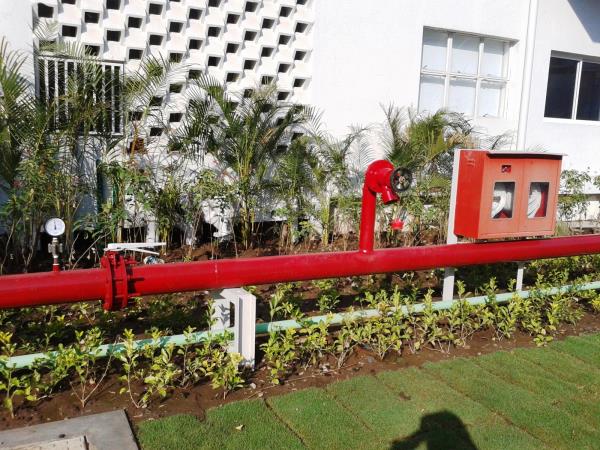 fire fighting services 