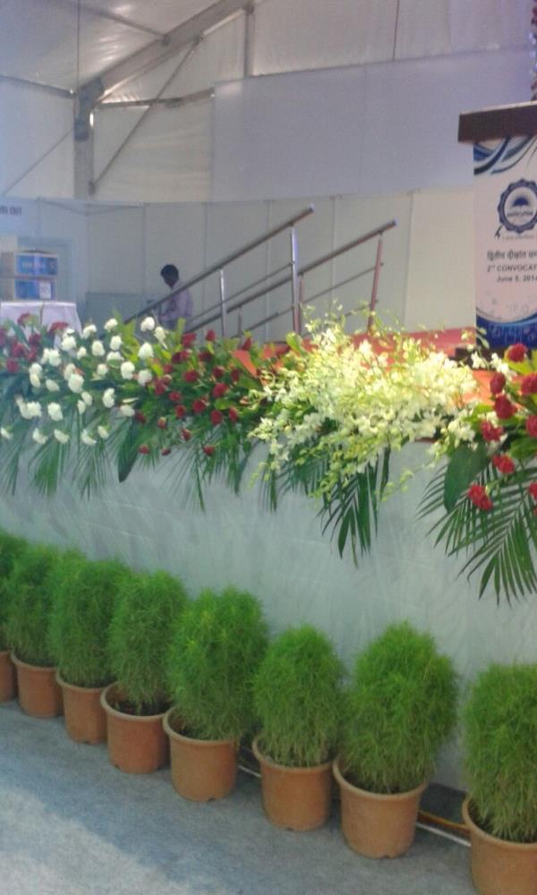 Shop flower decoration Indore.