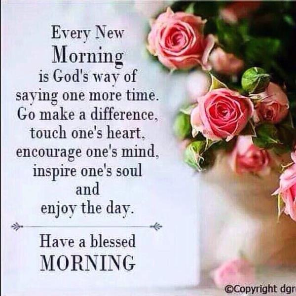 affordable price best results