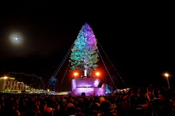 witness the worlds tallest christmas tree in japan this christmas tree is even larger than the giant rockefeller center christmas tree in new york city - Worlds Tallest Christmas Tree witness the worlds tallest christmas tree in japan this christmas tree is even larger than the giant rockefeller center christmas tree in new york city - Worlds Tallest Christmas Tree