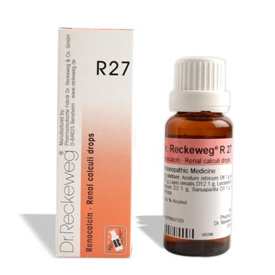 18 kidney